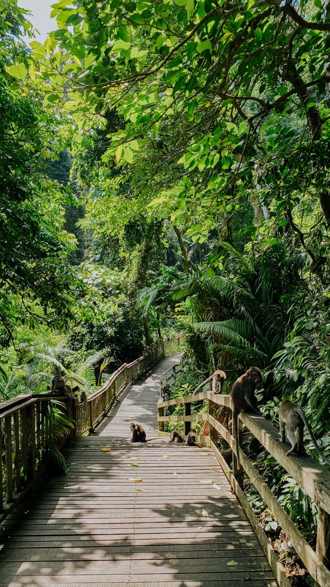 Ubud 
