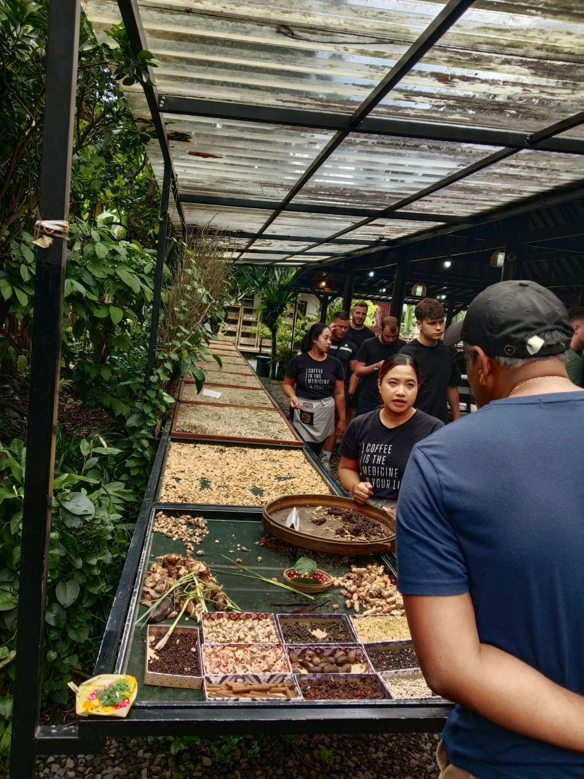 bali